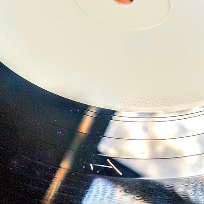 Dudearella : On Top Of The World (12", TP, W/Lbl)