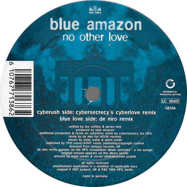 Blue Amazon : No Other Love (12")