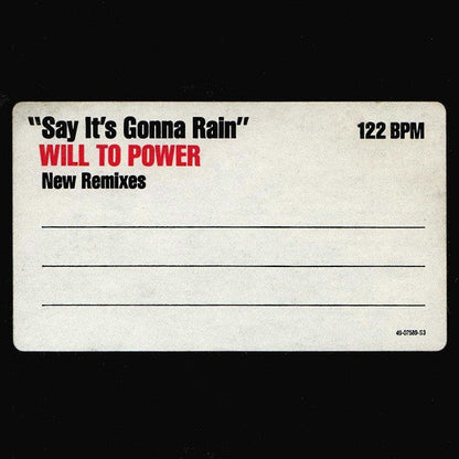 Will To Power : Say It's Gonna Rain (New Remixes) (12")