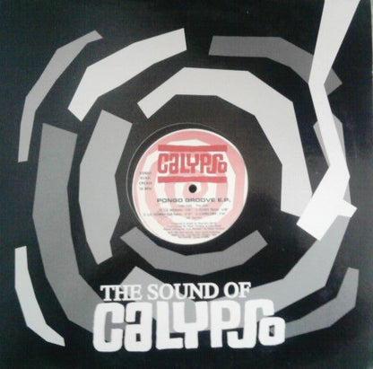 Pongo Groove : Pongo Groove E.P. (12")