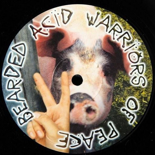 Skank : Don't Dig The Pig (12")