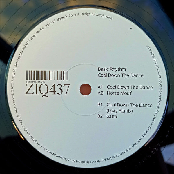 Basic Rhythm (2) : Cool Down The Dance EP (12", EP)