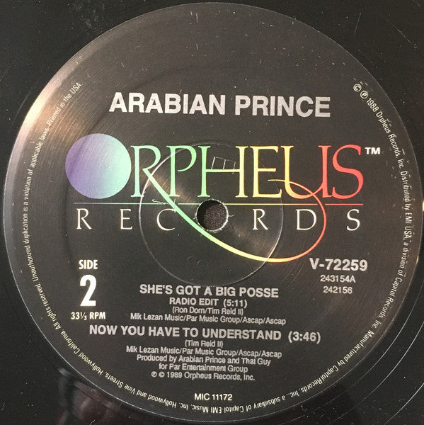 Arabian Prince* : She's Got A Big Posse (12")