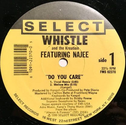 Whistle And The Kreation Featuring Najee : Do You Care (12", Single)