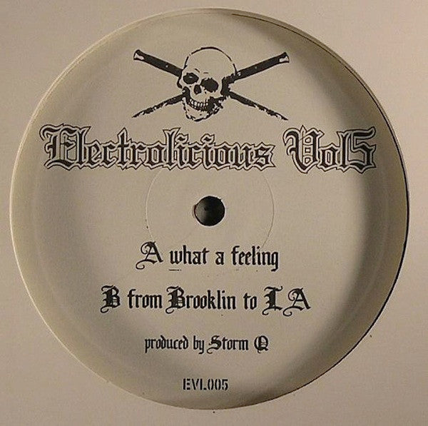 Storm Q : Electrolicious Vol 5 (12")