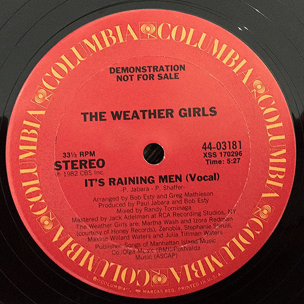 The Weather Girls : It's Raining Men (12", Promo)