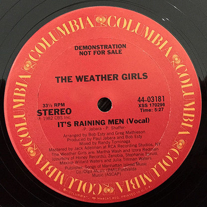 The Weather Girls : It's Raining Men (12", Promo)