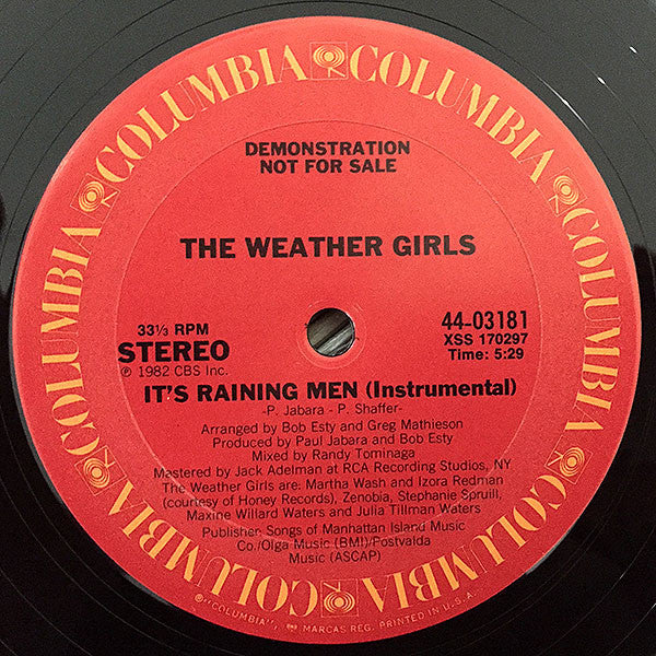 The Weather Girls : It's Raining Men (12", Promo)