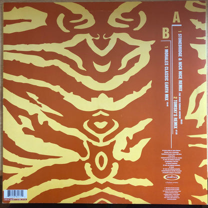 Janice Robinson : Earthbeat (12")