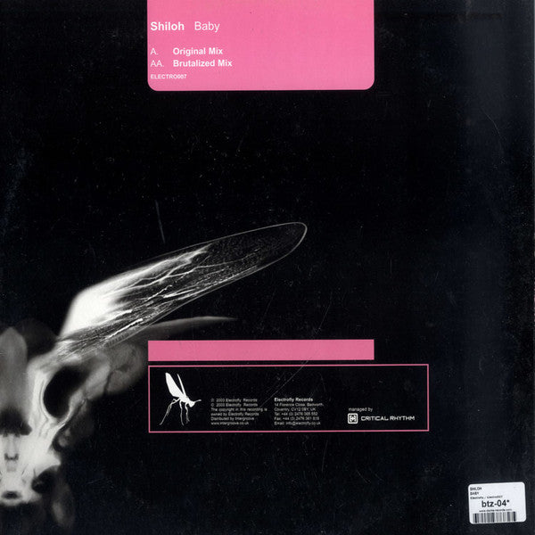Shiloh : Baby (12")