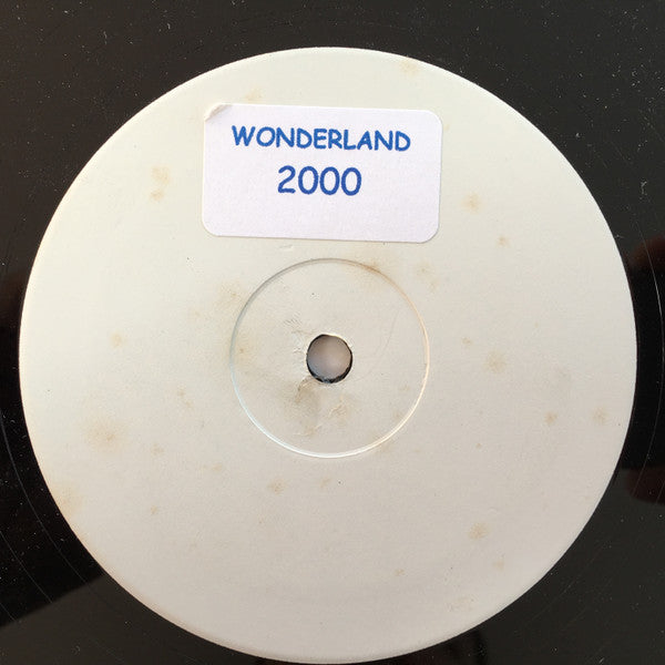 Stretch 'N' Vern* Vs Earth Wind & Fire* : Boogie Wonderland 2000 (12", W/Lbl)