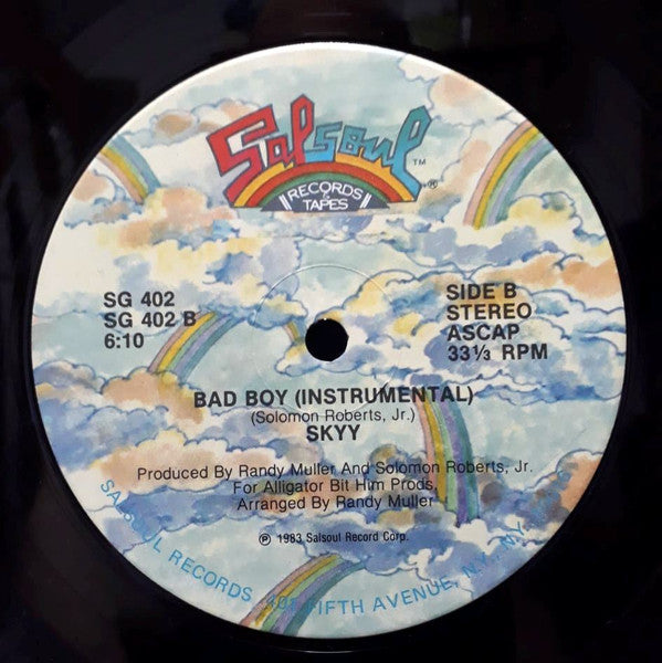 Skyy : Bad Boy (12", Single)