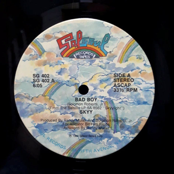 Skyy : Bad Boy (12", Single)