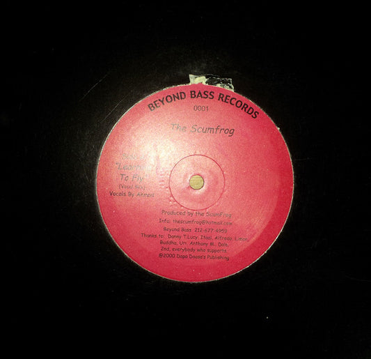 The Scumfrog : Learning To Fly (12")