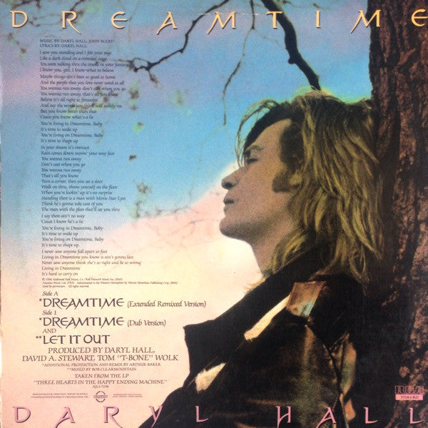 Daryl Hall : Dreamtime (12", Maxi)