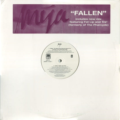 Mya : Fallen (12", Promo)