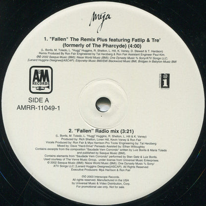 Mya : Fallen (12", Promo)