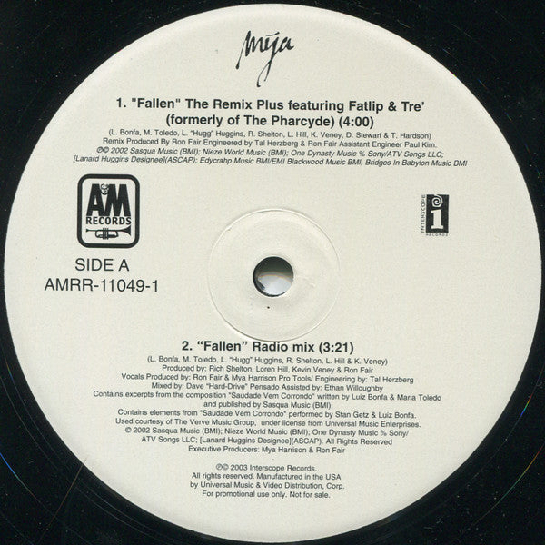 Mya : Fallen (12", Promo)