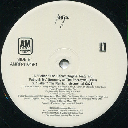 Mya : Fallen (12", Promo)