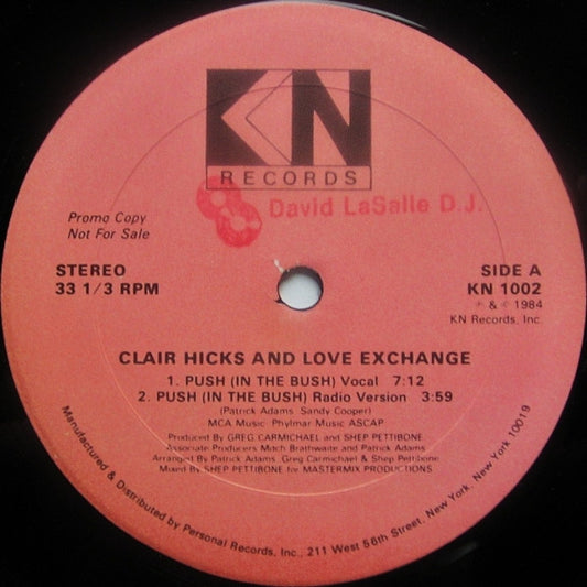 Clair Hicks And Love Exchange : Push (In The Bush) (12", Promo)