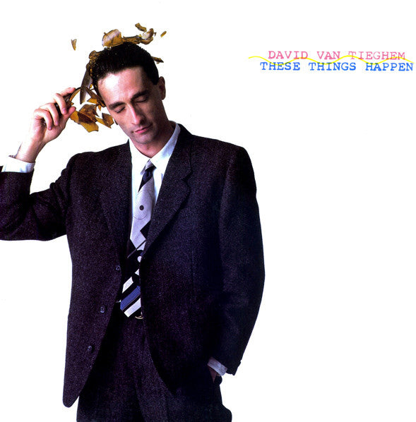 David Van Tieghem : These Things Happen (12", Maxi)