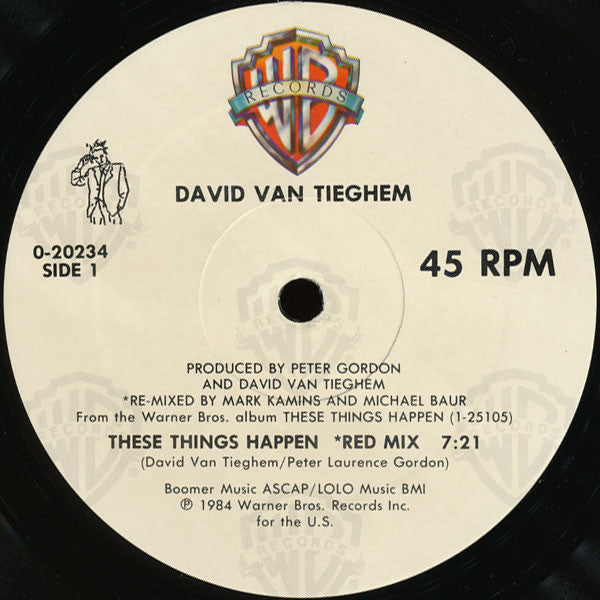 David Van Tieghem : These Things Happen (12", Maxi)