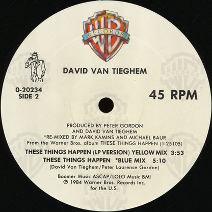 David Van Tieghem : These Things Happen (12", Maxi)