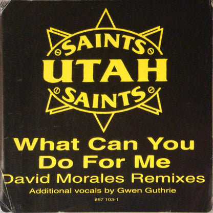Utah Saints : What Can You Do For Me (12")