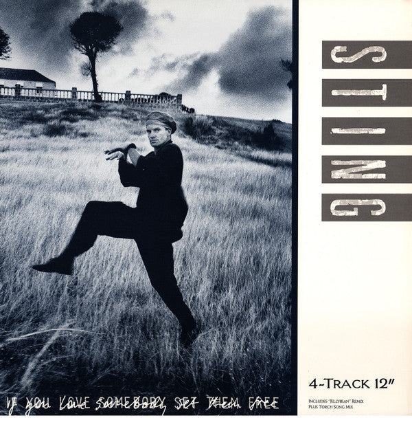 Sting : If You Love Somebody Set Them Free (12", R)