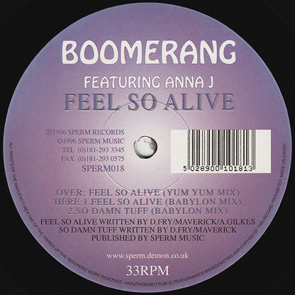Boomerang : Feel So Alive (12")