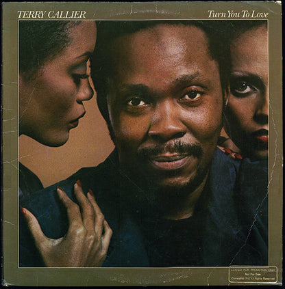 Terry Callier : Turn You To Love (LP, Album, Promo)