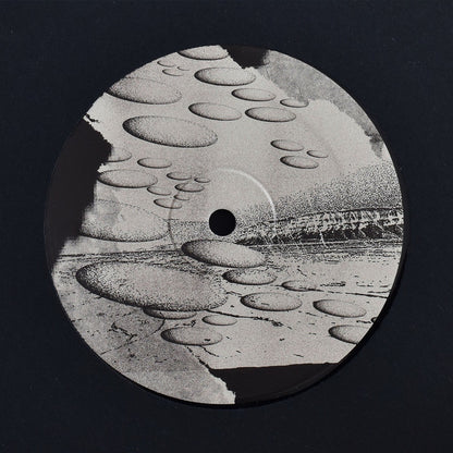 Liquid Silk : FR029 (12")