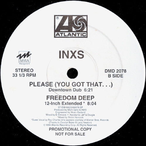 INXS : Please (You Got That...) (12", Single, Promo)