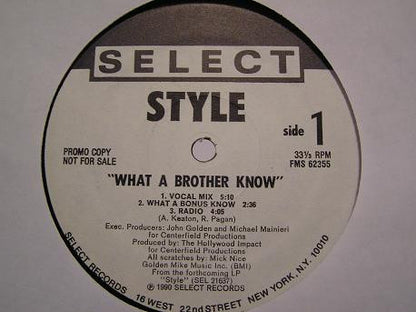 Style (2) : What A Brother Know (12", Promo)