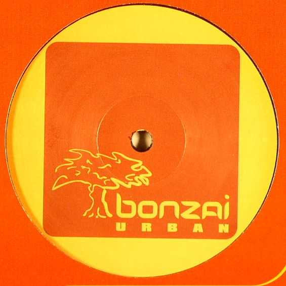 Kimodo Dragons : Unreachable Love (12")