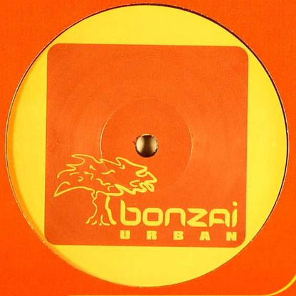 Kimodo Dragons : Unreachable Love (12")