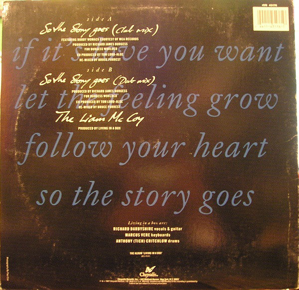 Living In A Box : So The Story Goes (12")