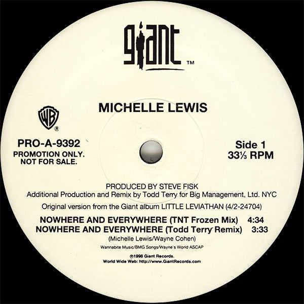 Michelle Lewis : Nowhere And Everywhere (12", Promo)