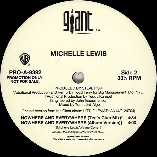 Michelle Lewis : Nowhere And Everywhere (12", Promo)