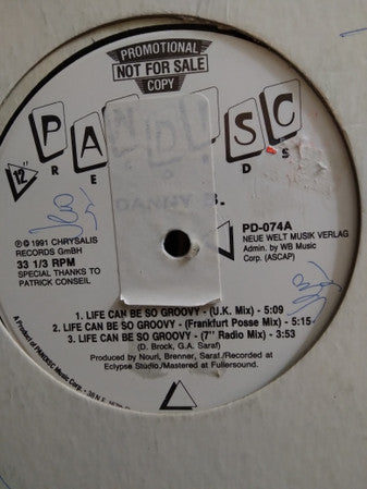 Danny B : Life Can Be So Groovy (12", Promo)