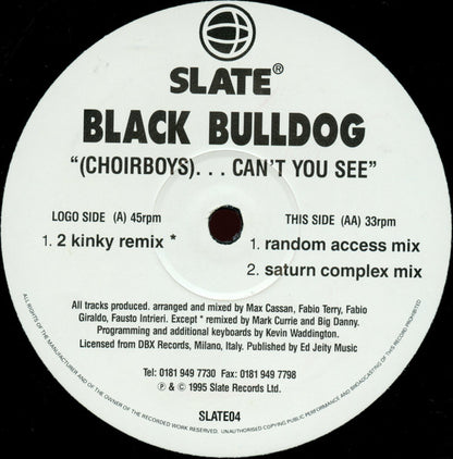 Black Bulldog : (Choirboys)...Can't You See (12")