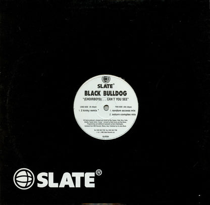 Black Bulldog : (Choirboys)...Can't You See (12")