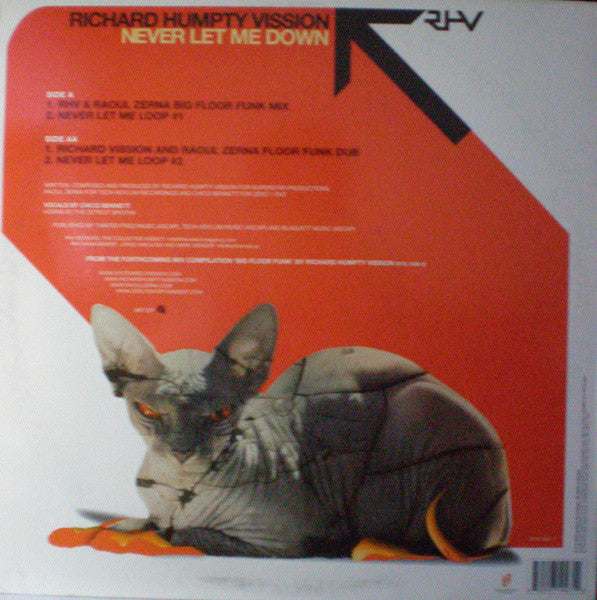 Richard Humpty Vission* : Never Let Me Down (12")