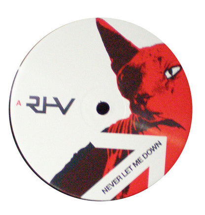 Richard Humpty Vission* : Never Let Me Down (12")