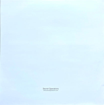 Seba : Are We Dreaming (12")