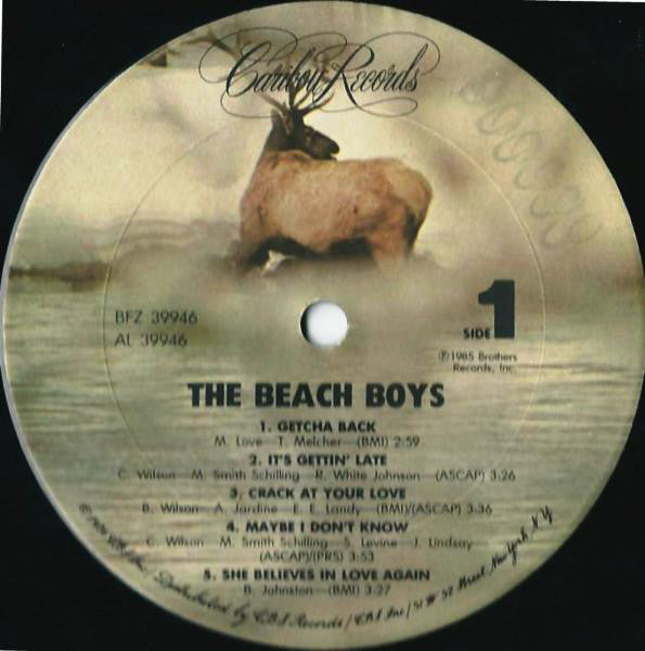The Beach Boys : The Beach Boys (LP, Album, Pit)