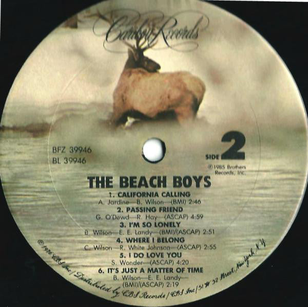 The Beach Boys : The Beach Boys (LP, Album, Pit)