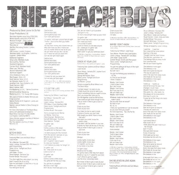 The Beach Boys : The Beach Boys (LP, Album, Pit)
