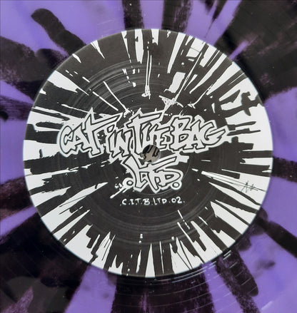 Unknown Artist : Journey To Somewhere / Fading Memories (12", EP, Ltd, Num, Pur)