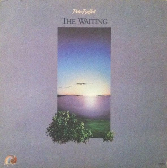 Peter Buffett : The Waiting (LP, Album)